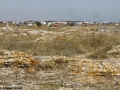 BulgariaTek 2011, KamenBryag (47)