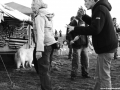 Czarotek 2011, Krásno, 29 (98)