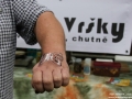 Fest NaFest IV., 20.9.2014, MusicPubRoh (25)