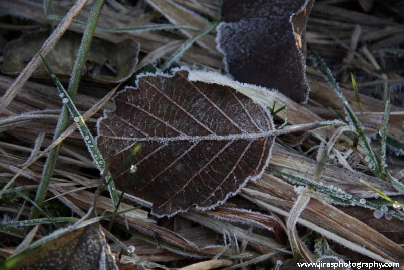 PodBlanicko prosinec 2015 (80)