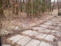 PRCervenalouka (63)