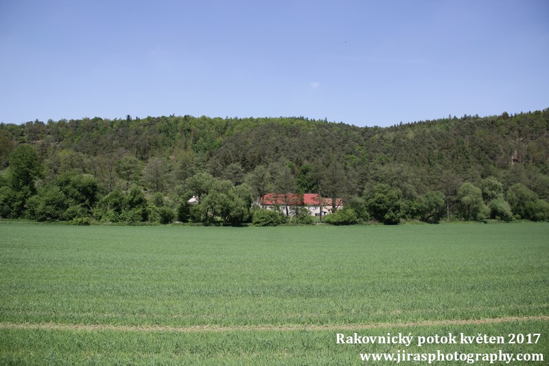 Rakovnický potok, Pustověty Tomáš Jiras (45)