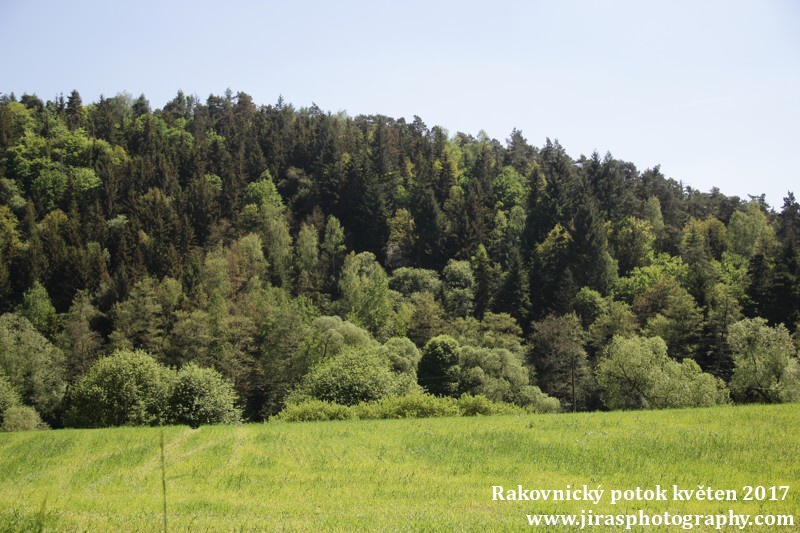 Rakovnický potok, Pustověty Tomáš Jiras (46)