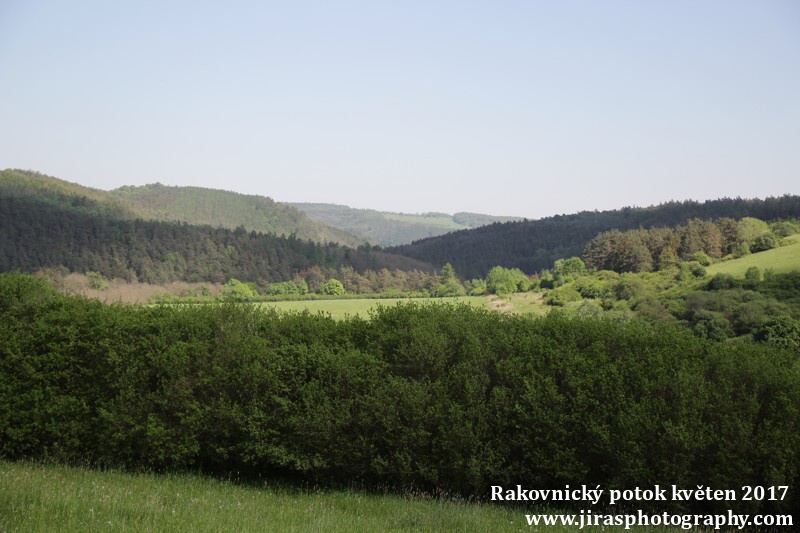 Rakovnický potok, Pustověty Tomáš Jiras (59)